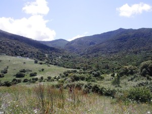 Paisaje de la Sierra