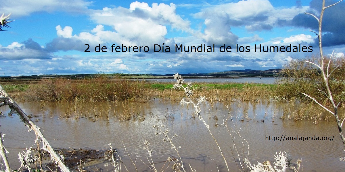 2 de febrero Día Mundial de los humnedales