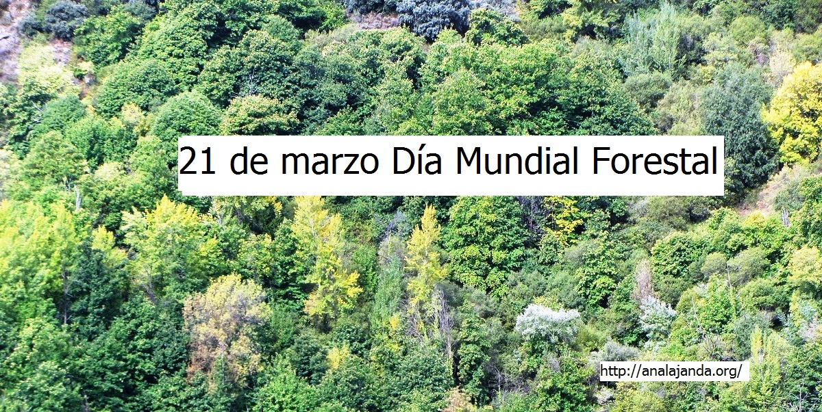 21 de marzo Día Mundial Forestal
